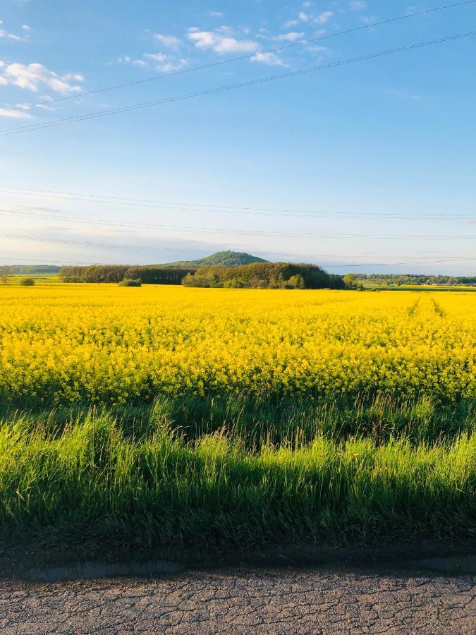 Nibylandia Motylkowa Villa Nowa Wies Grodziska ภายนอก รูปภาพ