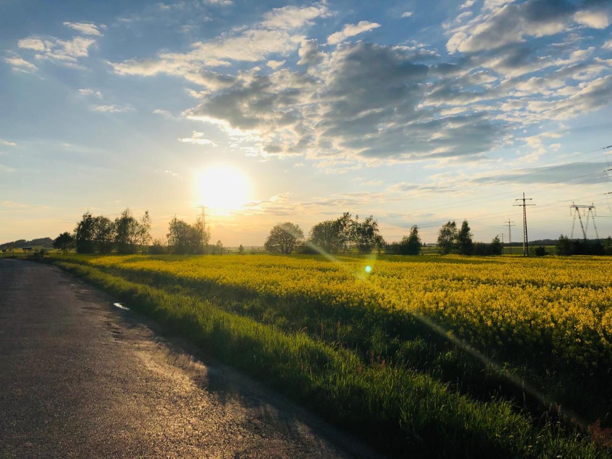 Nibylandia Motylkowa Villa Nowa Wies Grodziska ภายนอก รูปภาพ